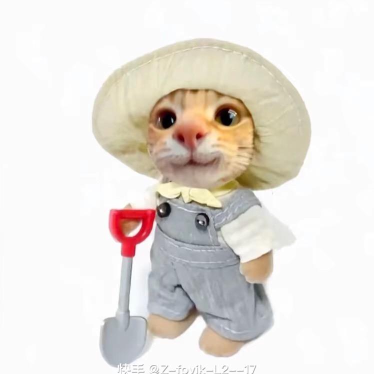 书