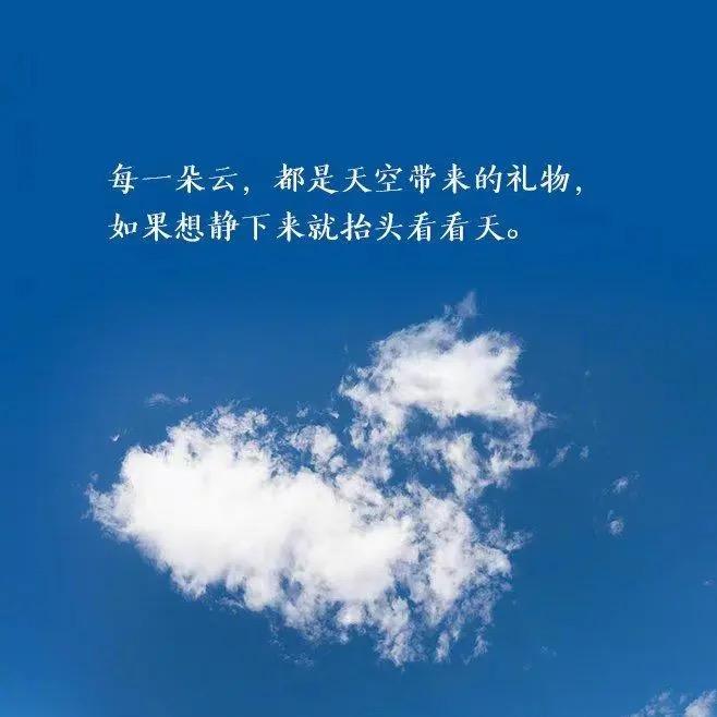 中年少男（互）