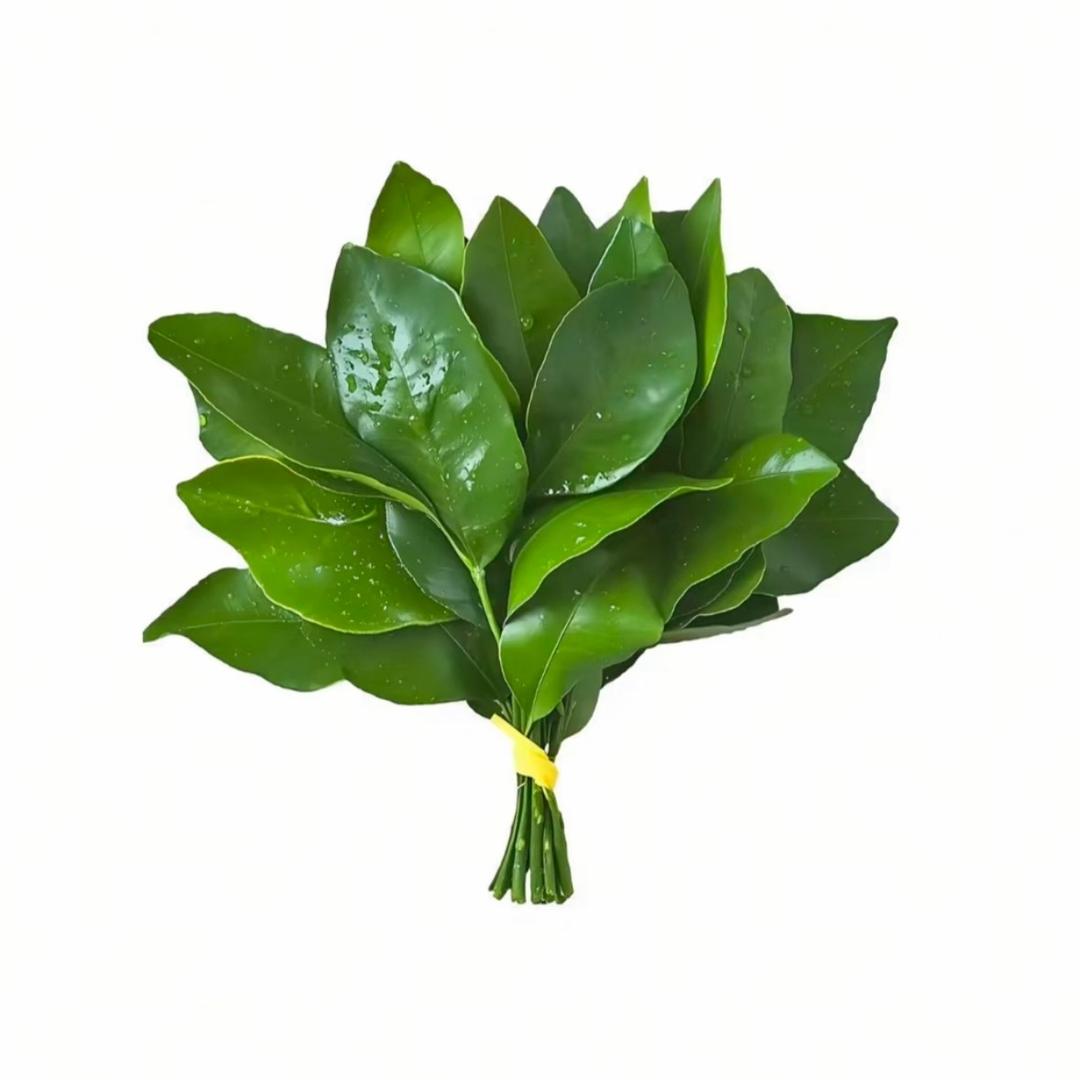 死也不吃葱（见过许嵩版）