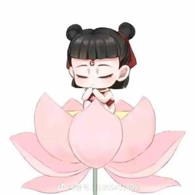 善丽