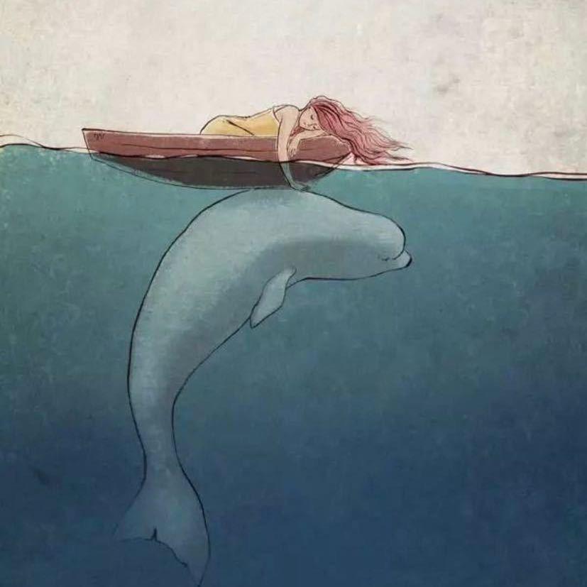 贵州汇禄铖煤炭贸易