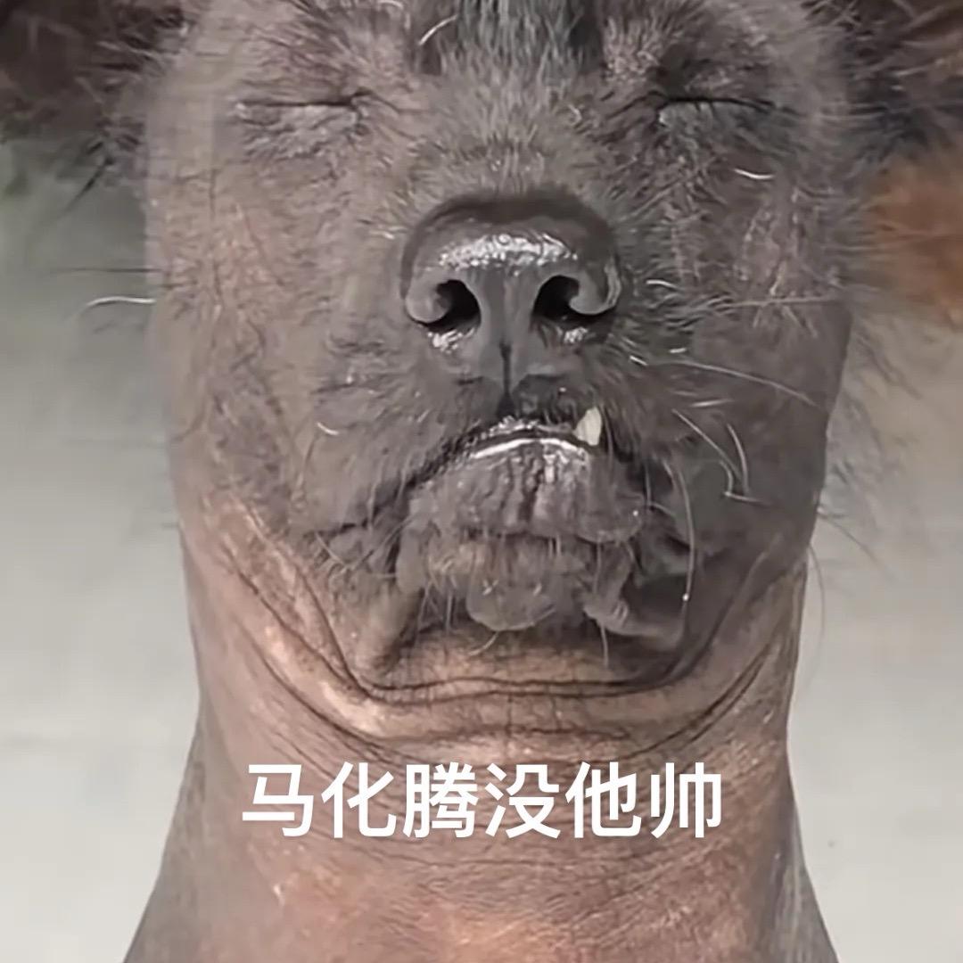 Moto坚持打破残局