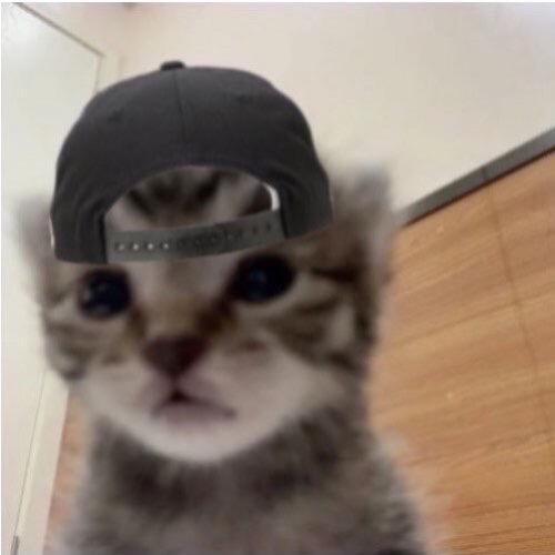 东北最腼腆的男人