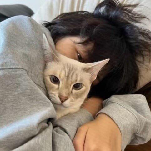 慧慧不是惠惠