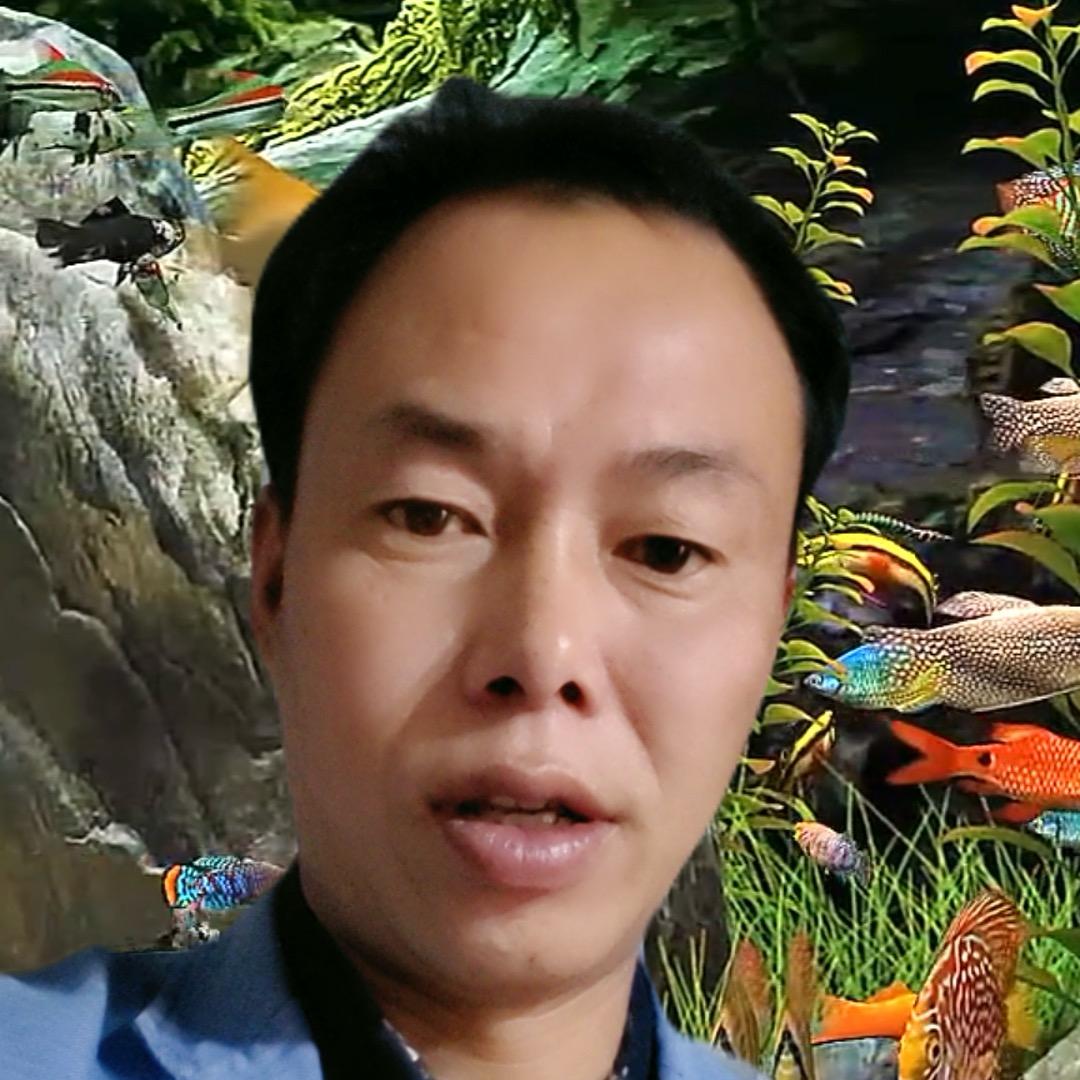 隔壁老王