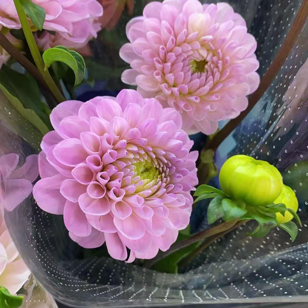 昆明斗南鲜花批发市5911649615