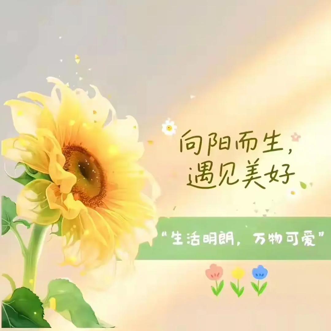六六甄 选A