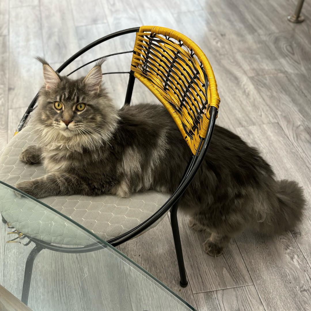 郝梦情精致美甲美睫坊