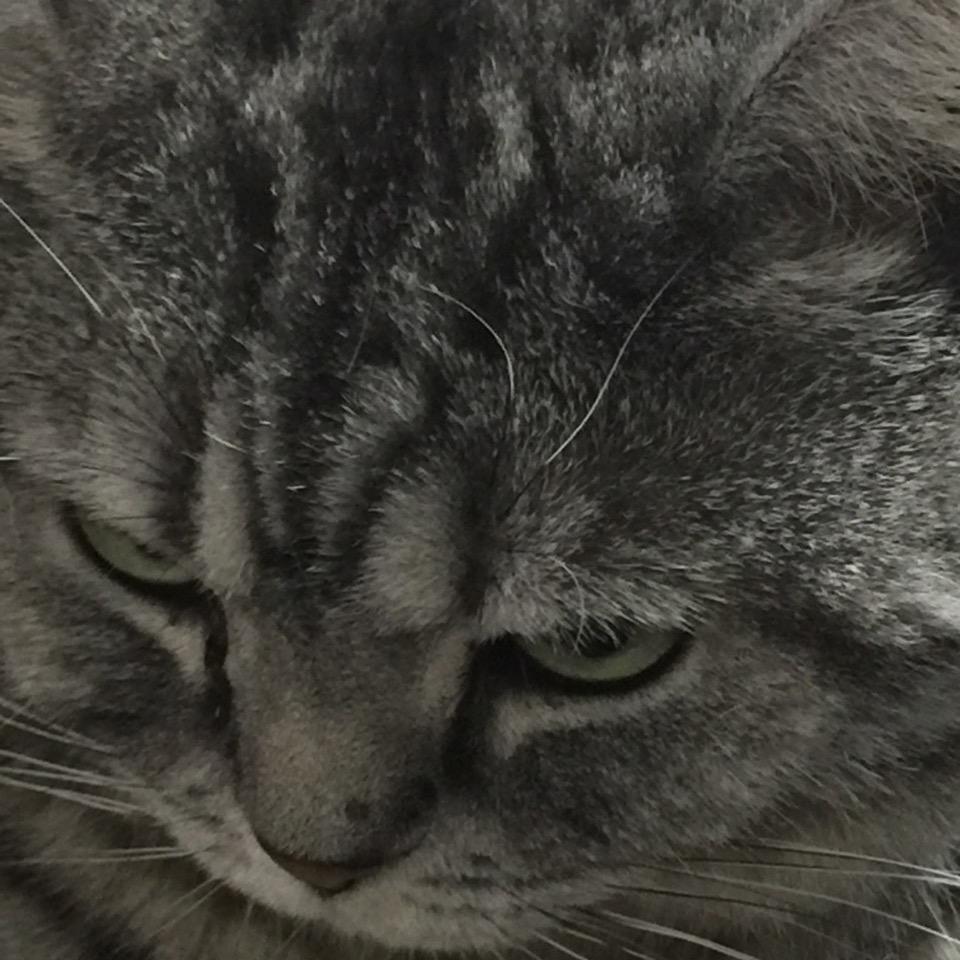 默再提