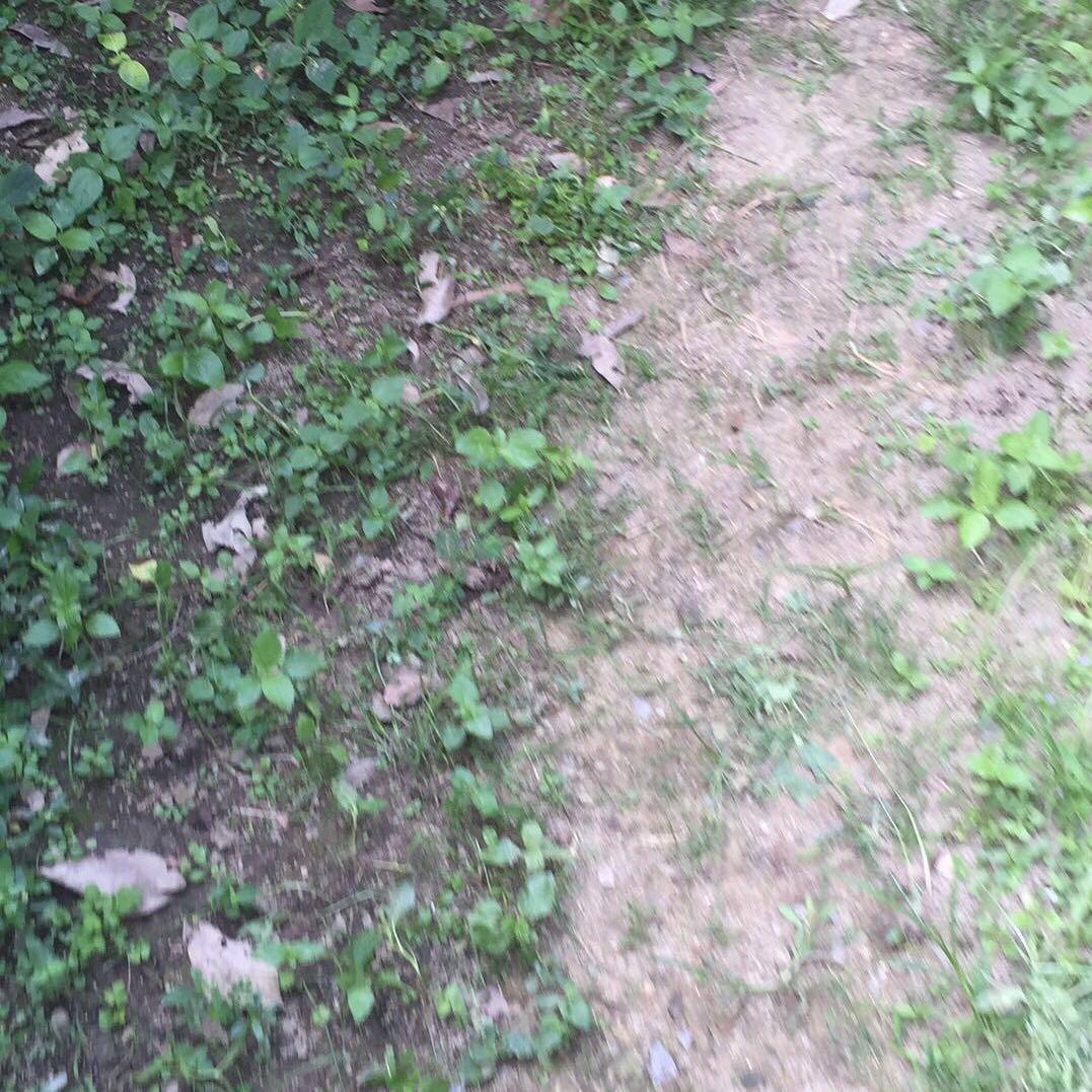 敬天敬地敬贵人