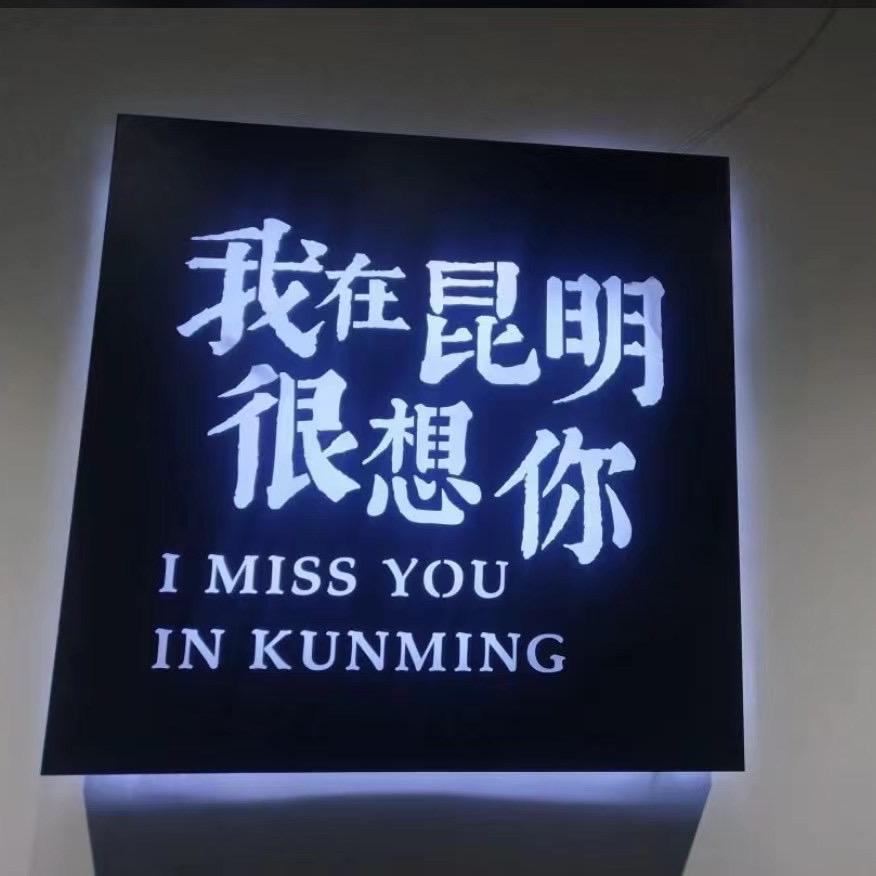 楚雄最后的深情🐶