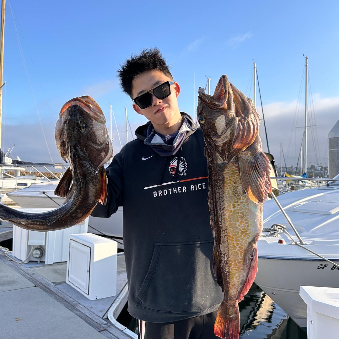 我是布丁蟹大王