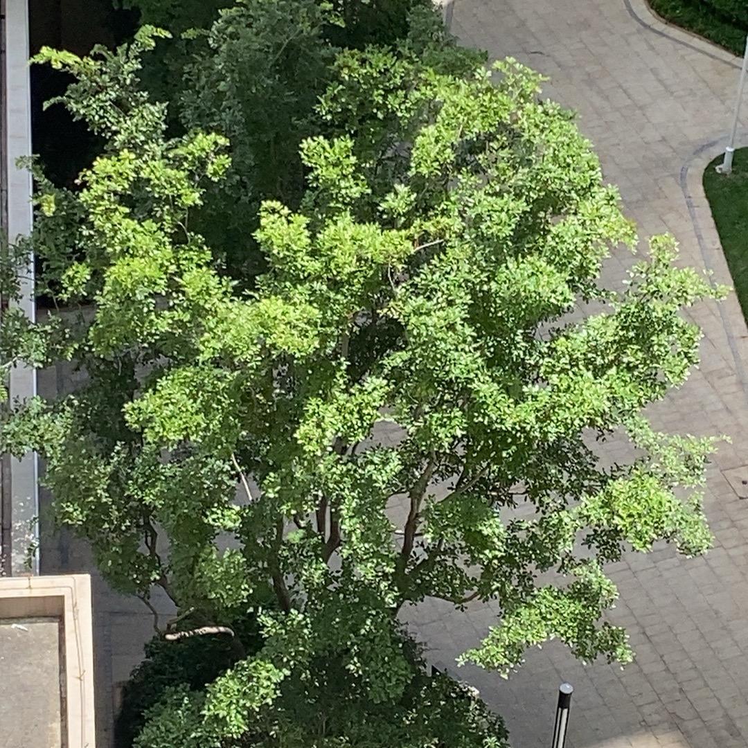 春花秋月何时了