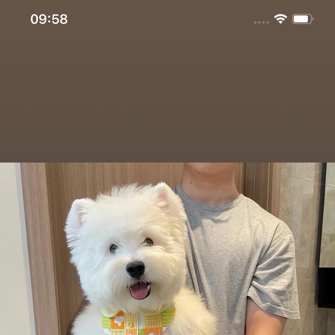 小小宠物臻选阁零售店