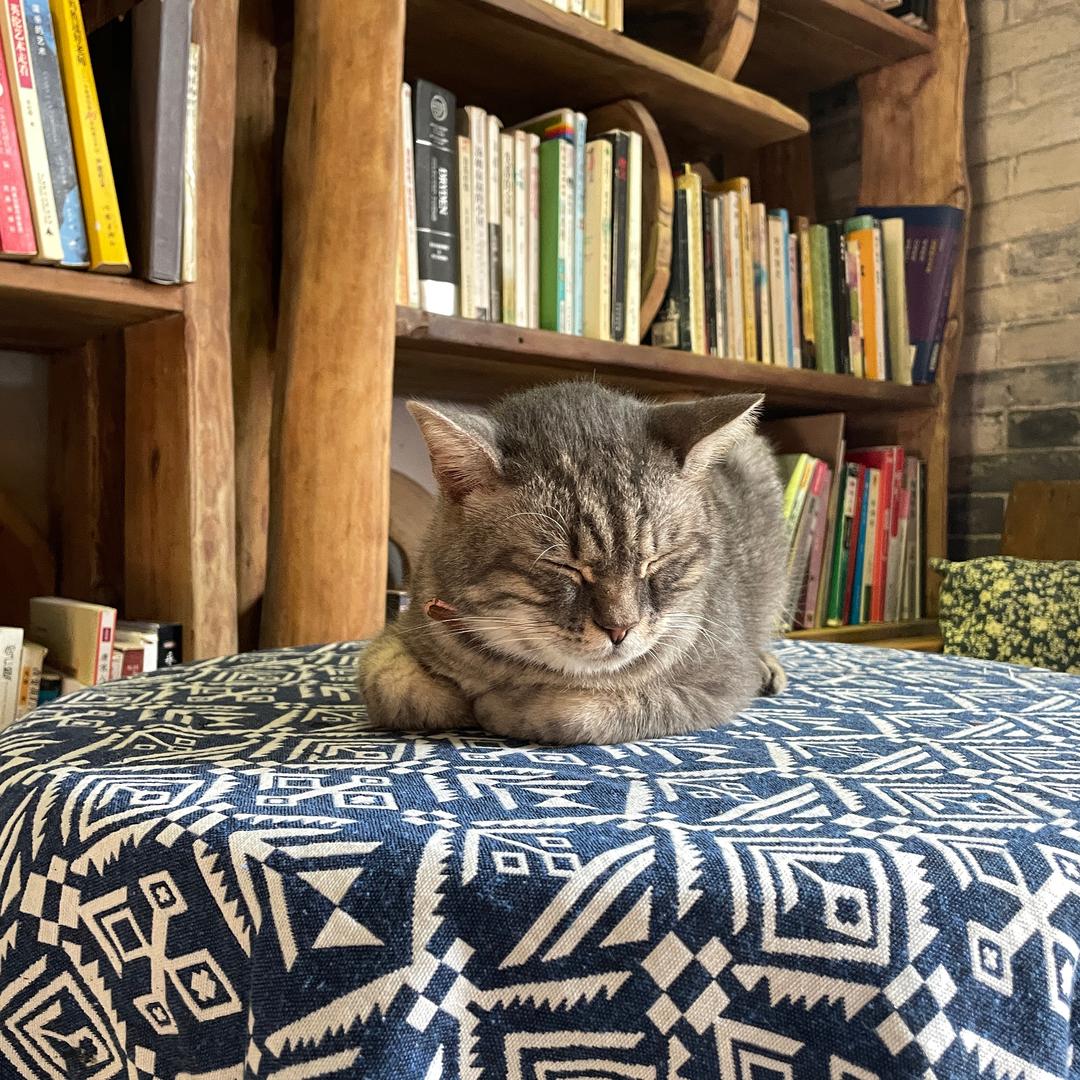 卡莉努努力☀️