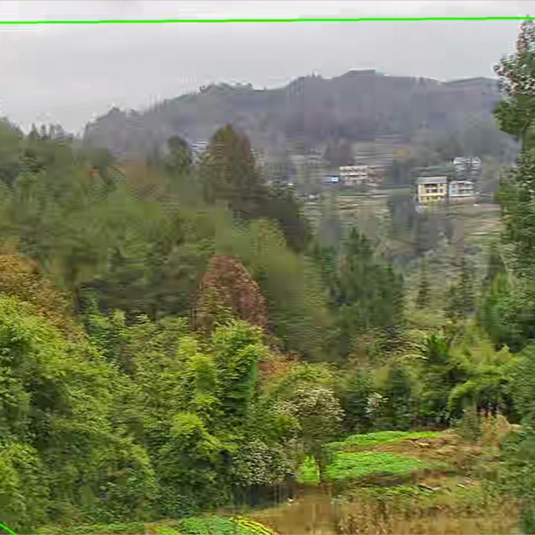 别睡太晚，梦会变