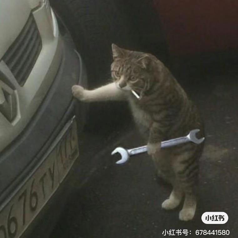拾贰困妹困