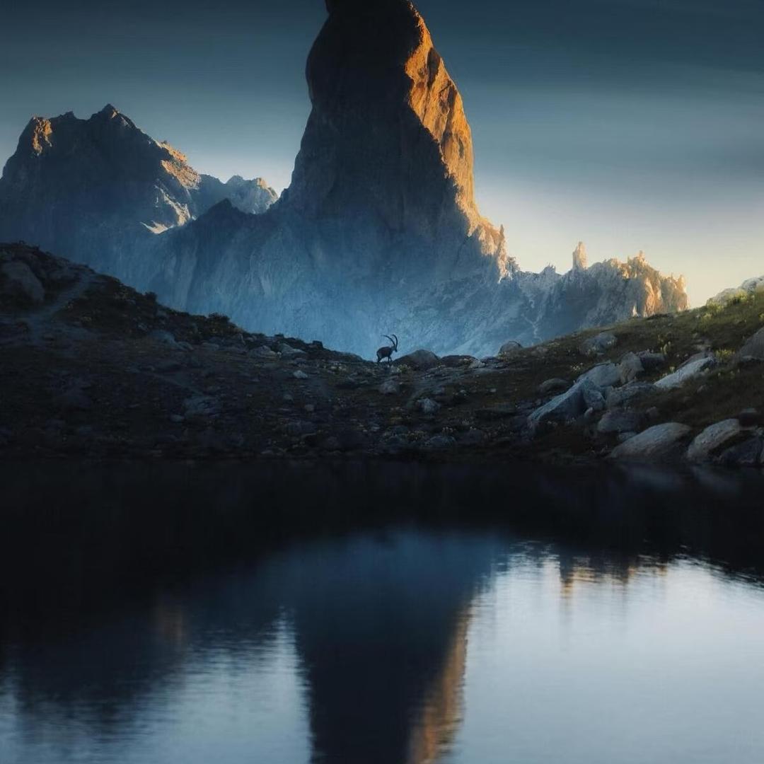 愤怒的小鸟2.0的头像