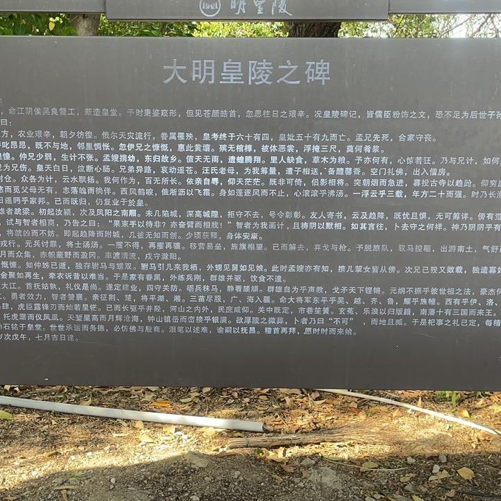 一半清醒一半醉凤阳县大庙镇