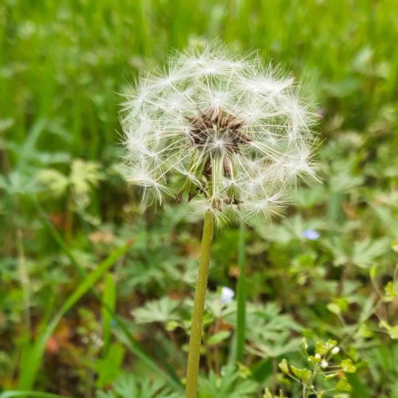 智能空调工厂直销B9