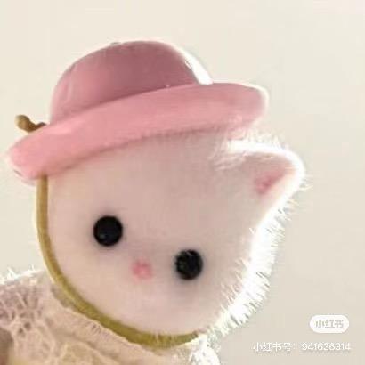 kitty猫