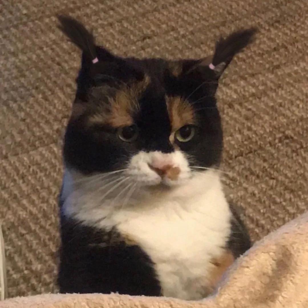 四婚知道疼男人