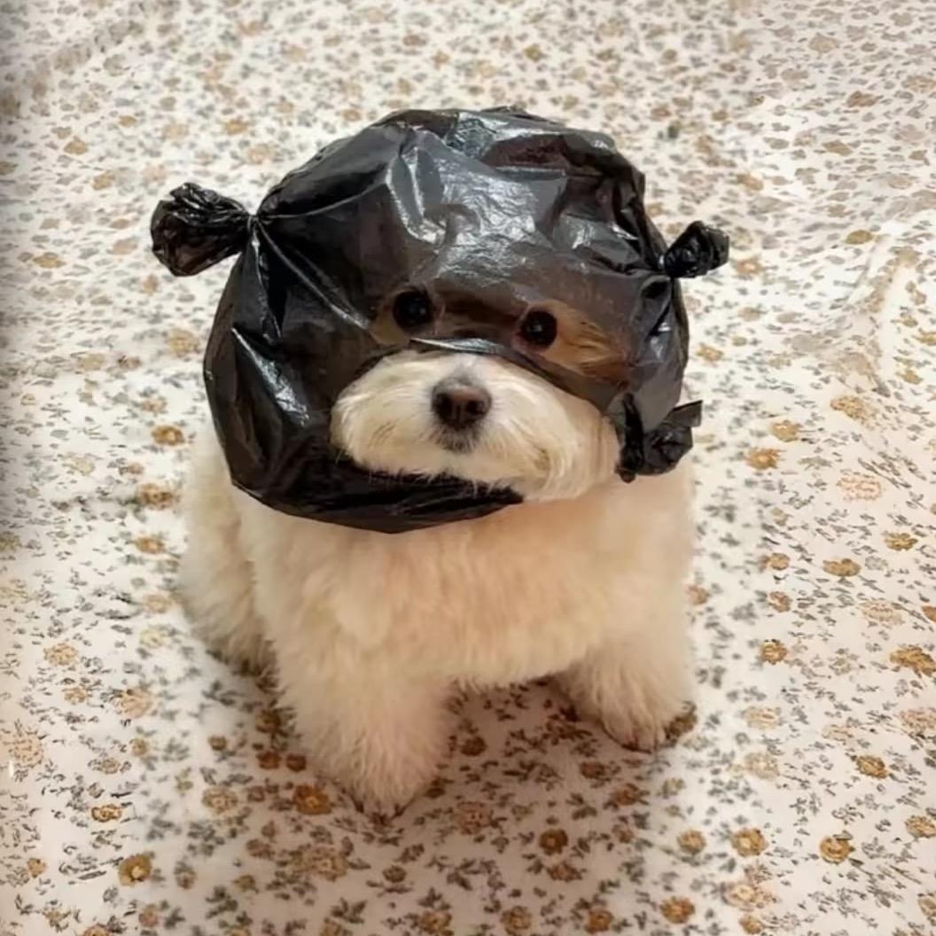 ㅤㅤㅤ       ㅤㅤㅤ