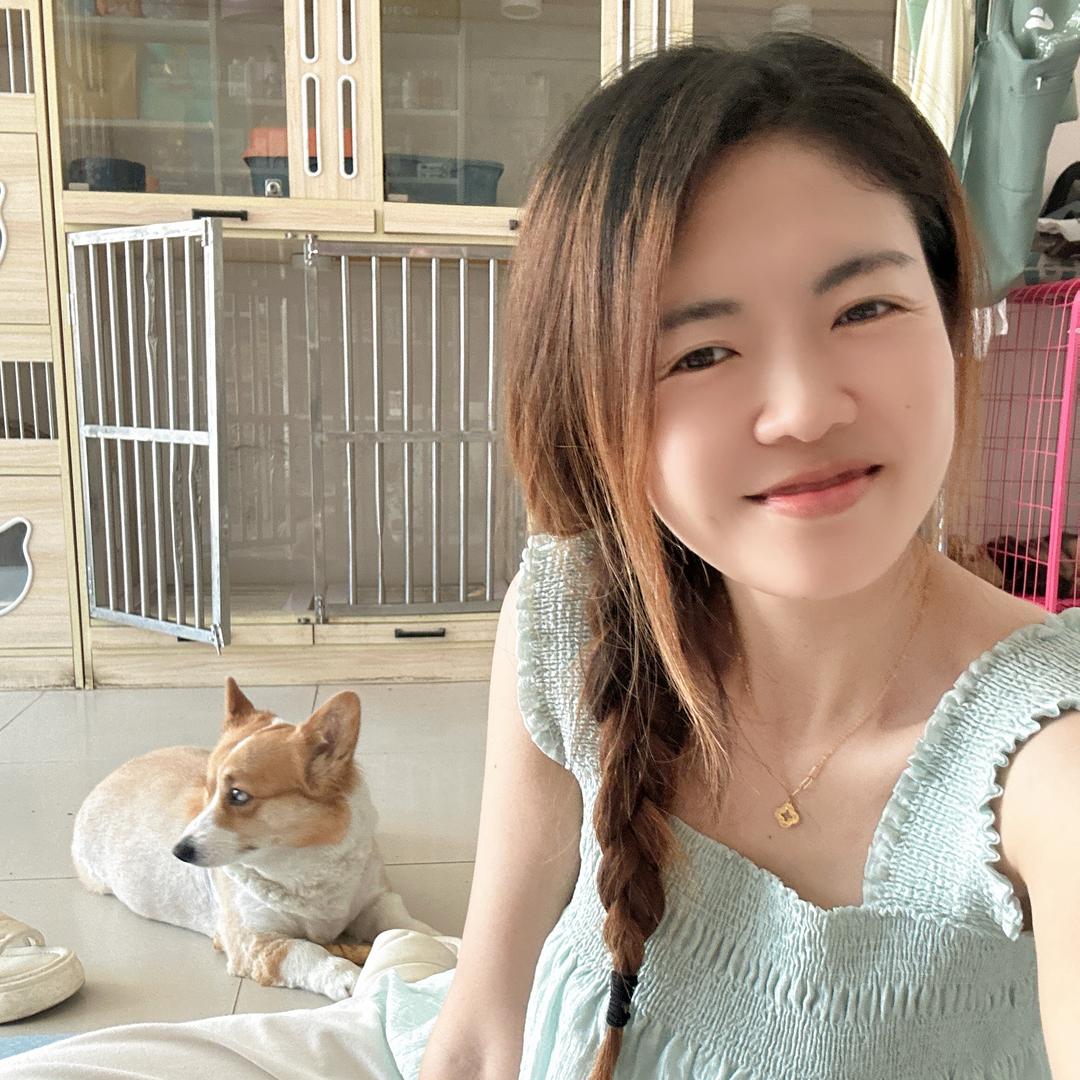 一只小小汐