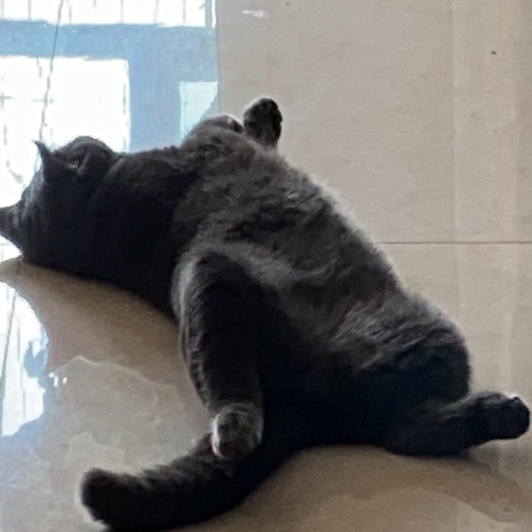 噼里啪啦