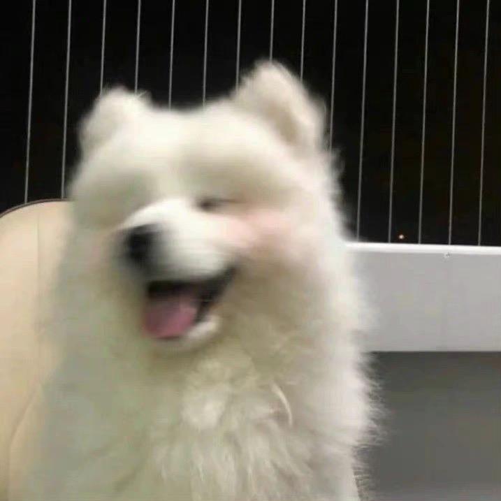 伦晚