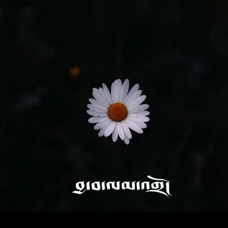 理解万岁🫶🏿