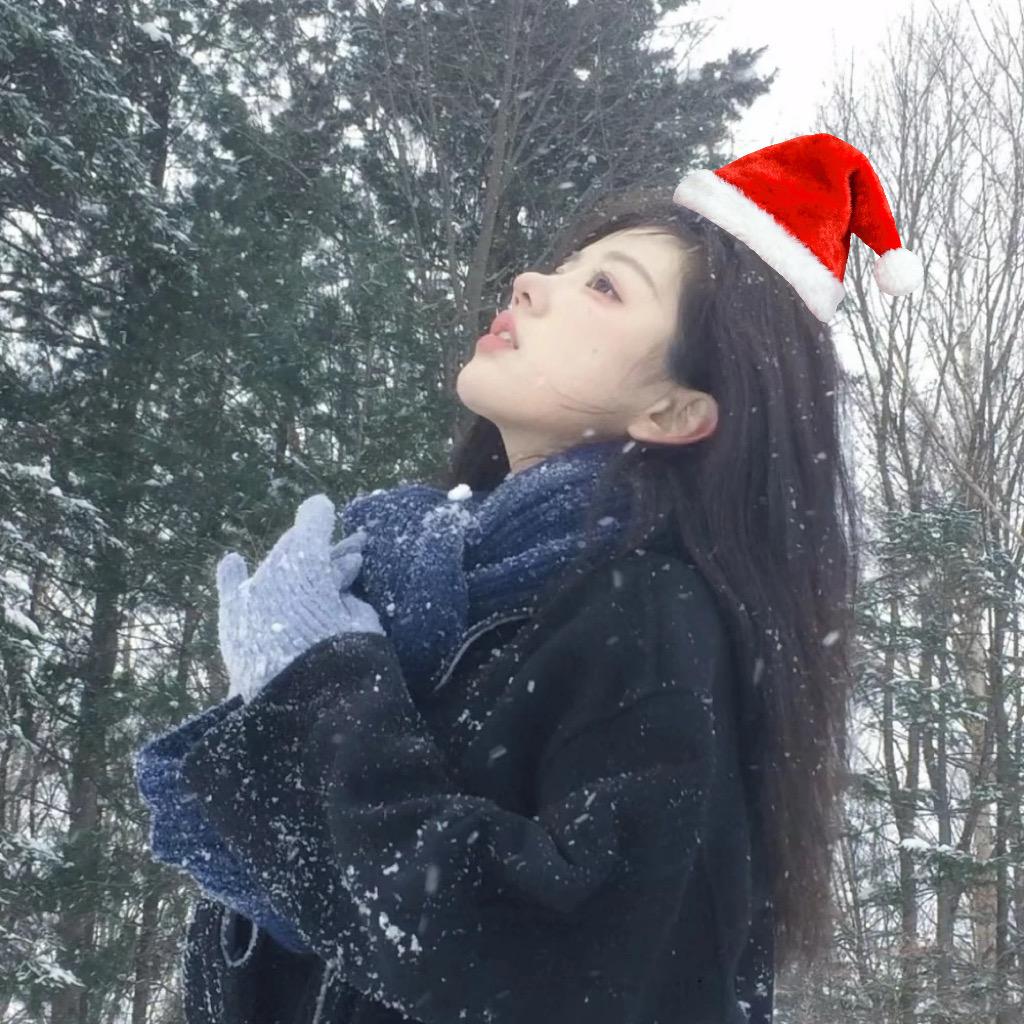 傲娇的小岛ᵀ🏝️.