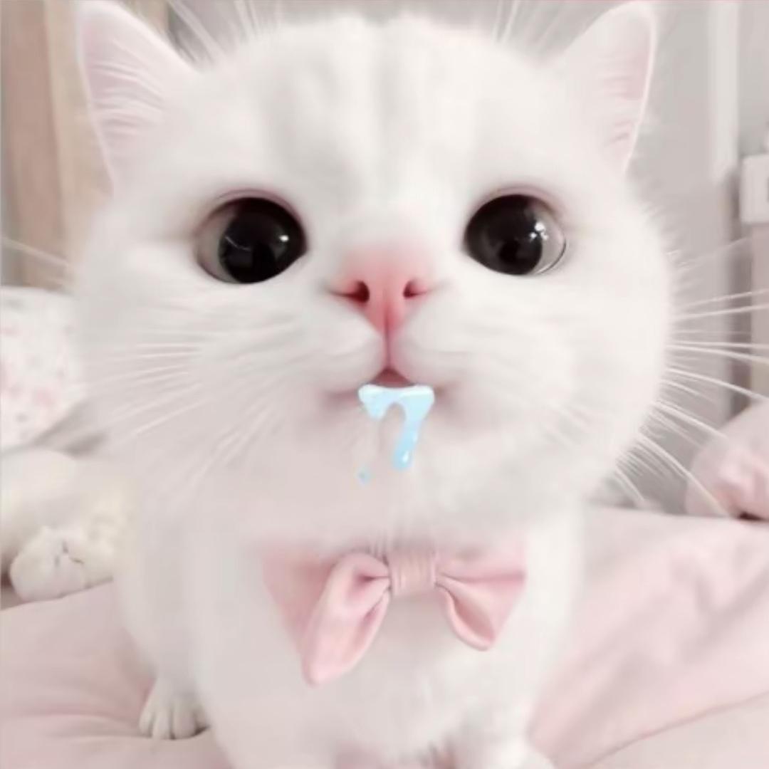 - 㬩