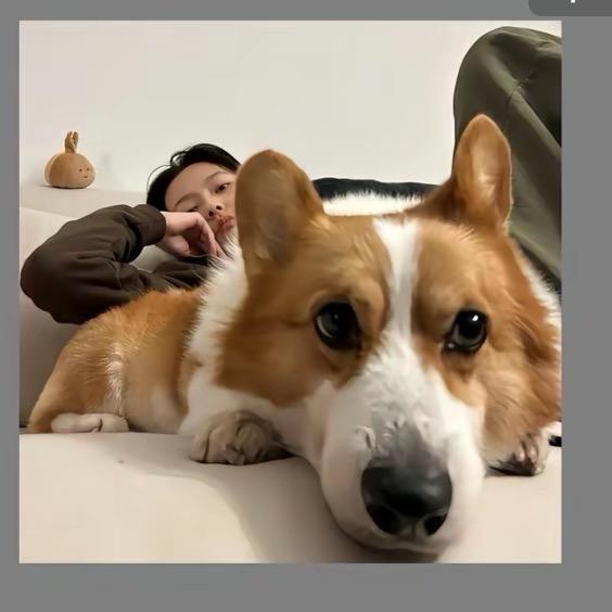 卓姐姐👧