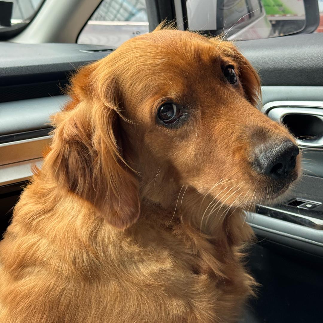 王小六的朋友圈