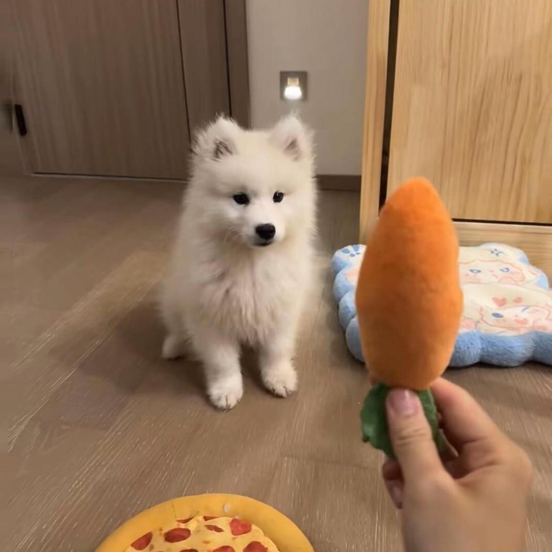 三水吉