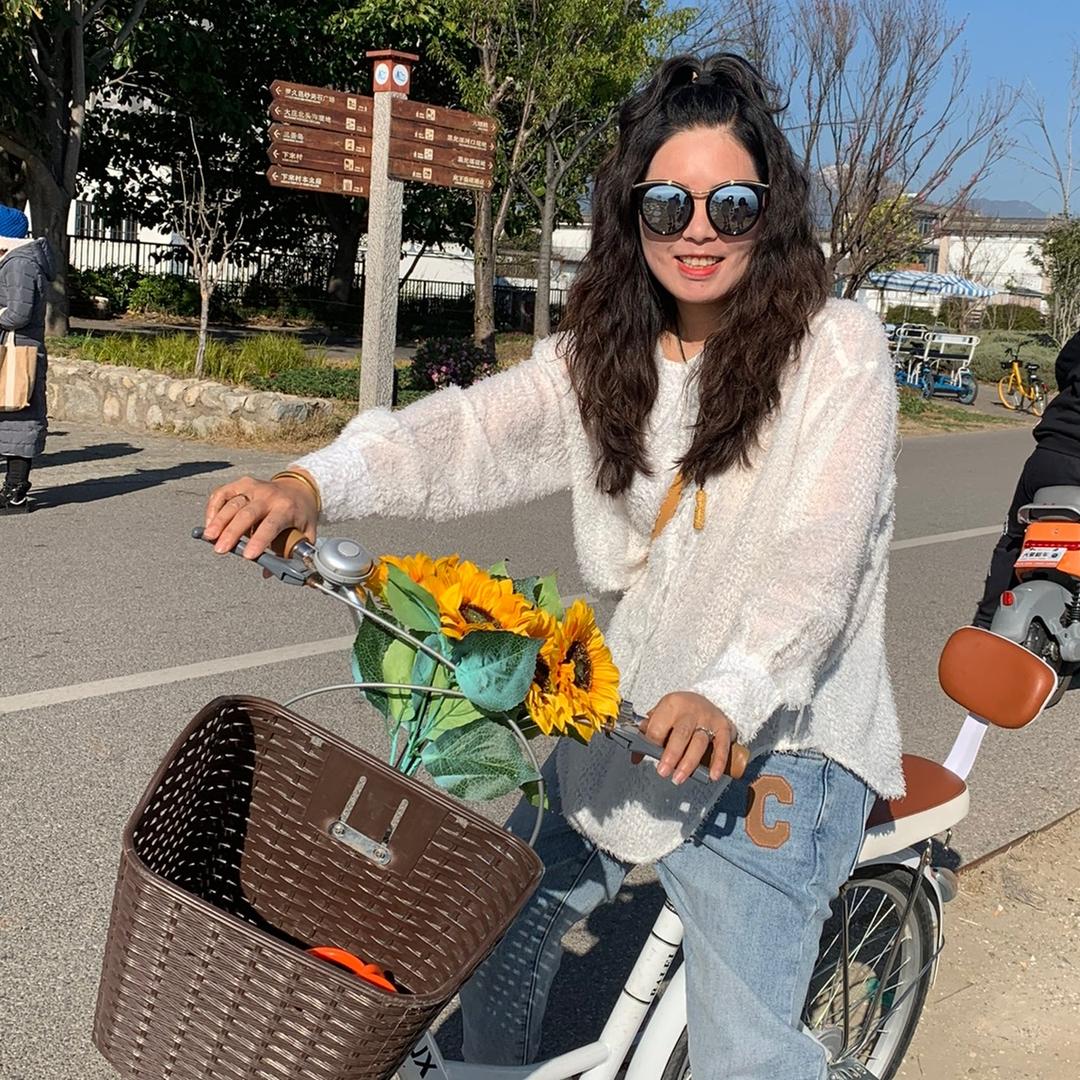 蒙自德力西家居电器