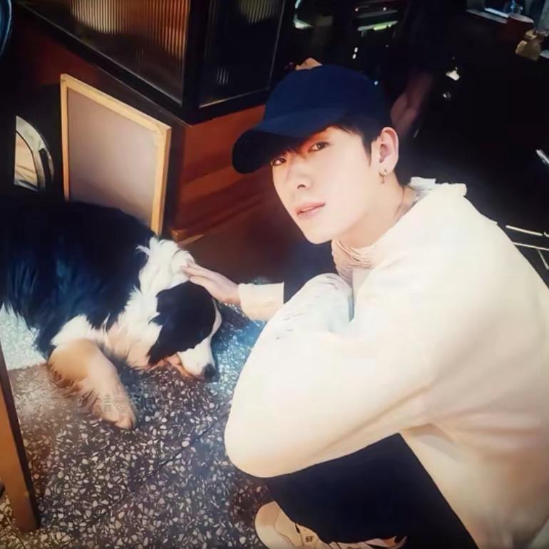 蟹不肉这是真帅