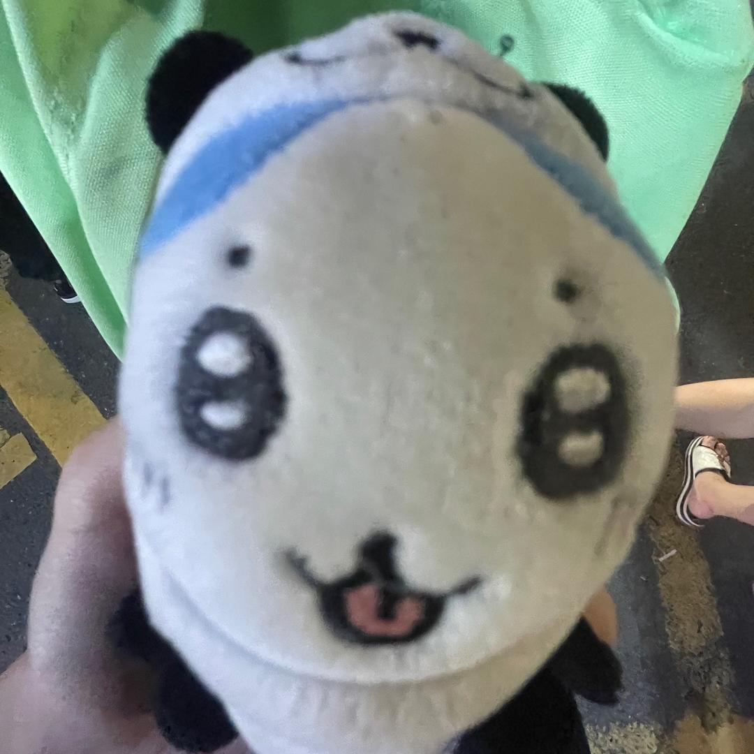 ？。。