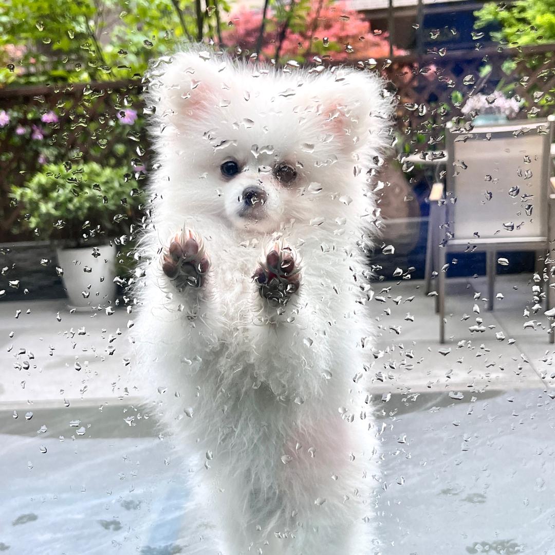 木樨小筑