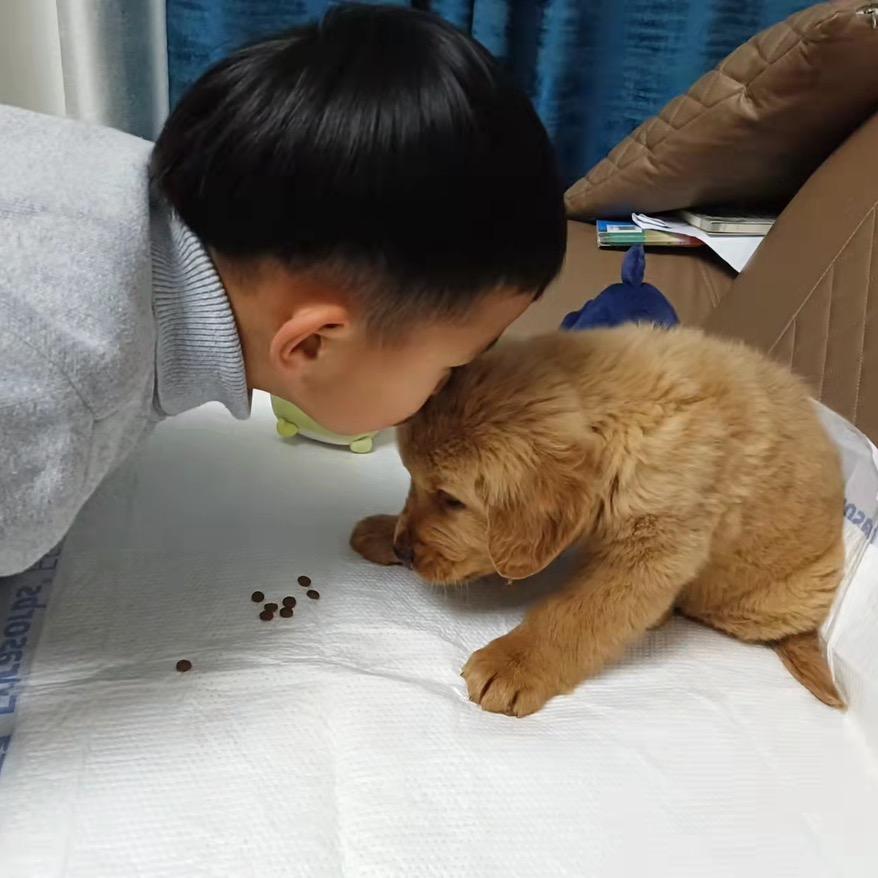 美艳