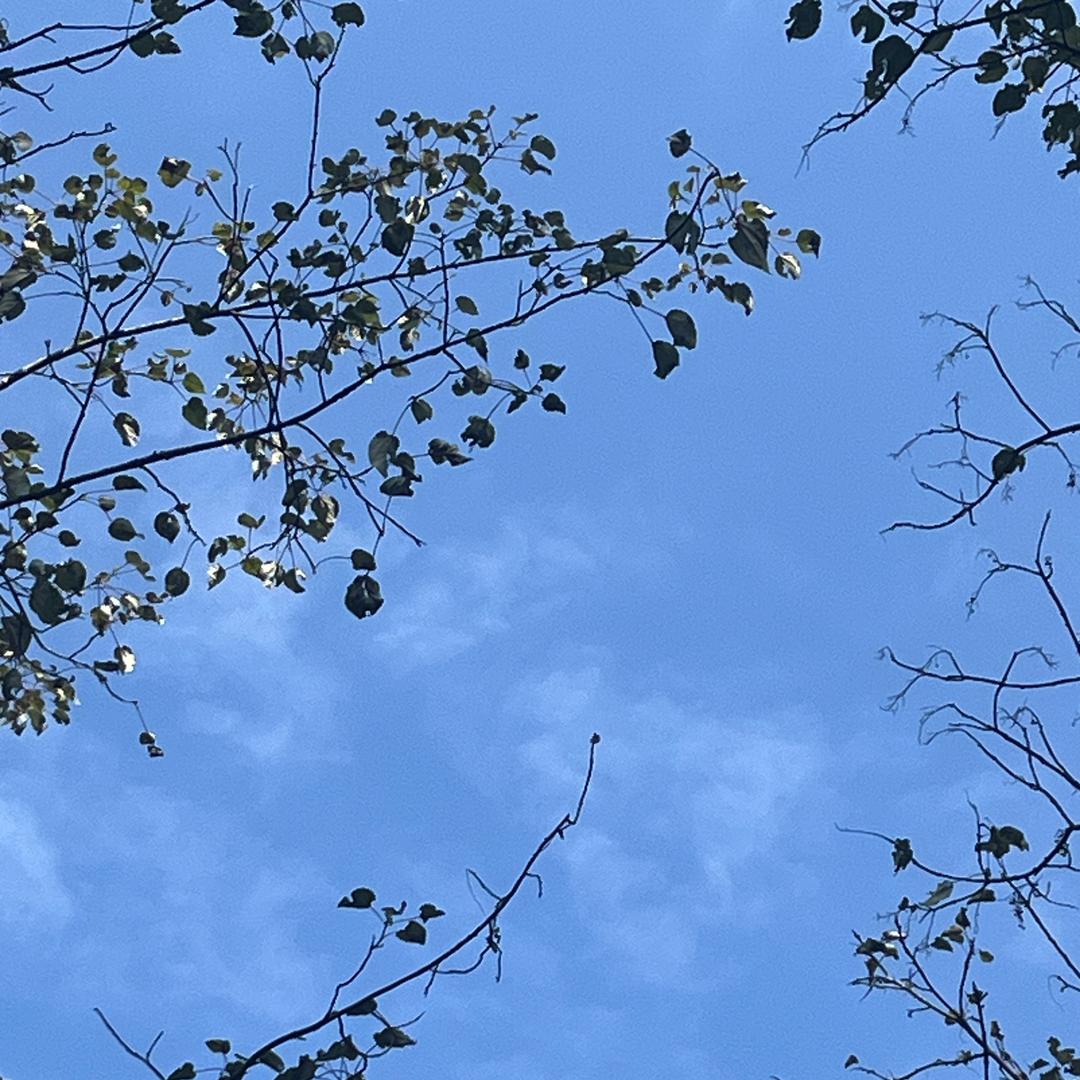 家有两千斤