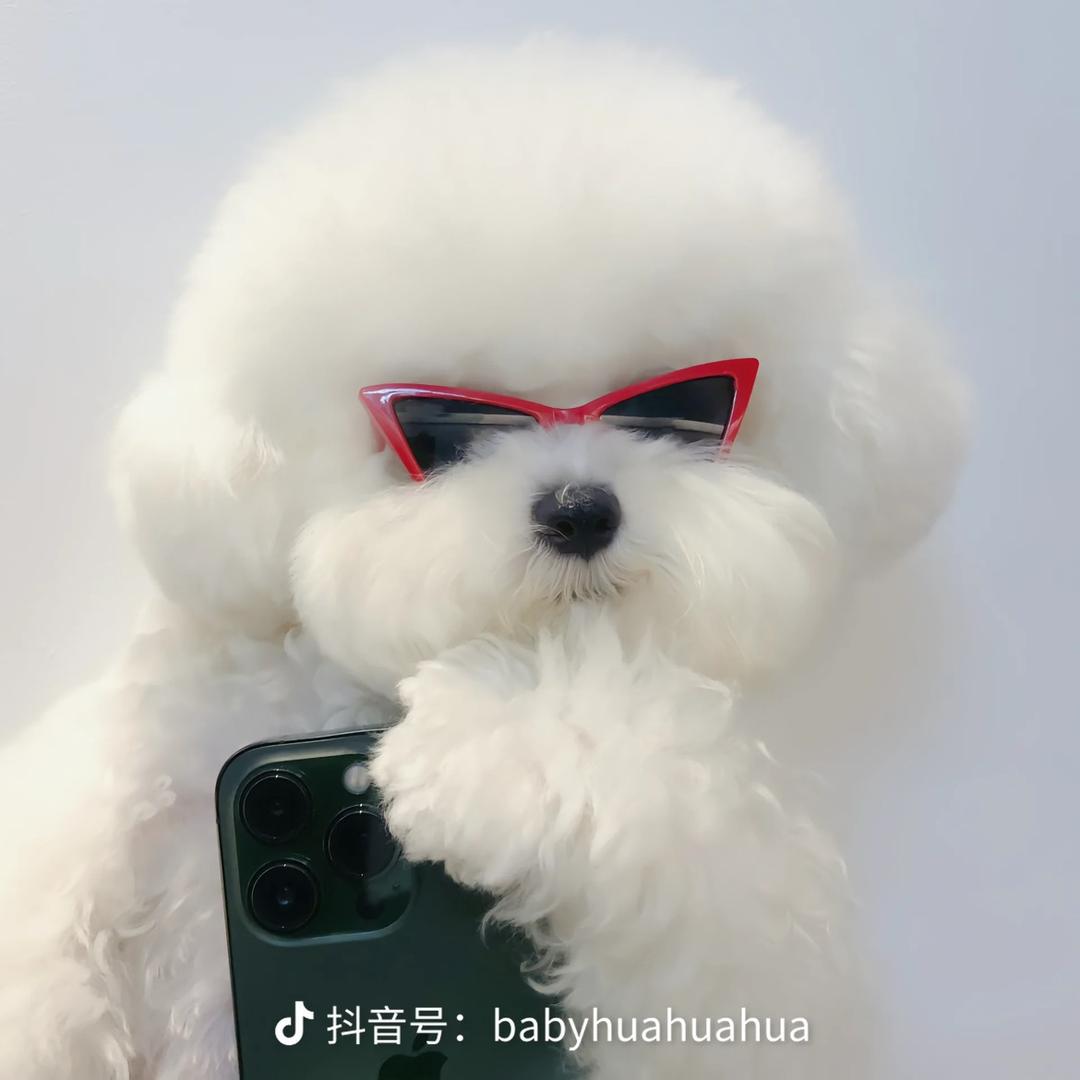 李咣咣