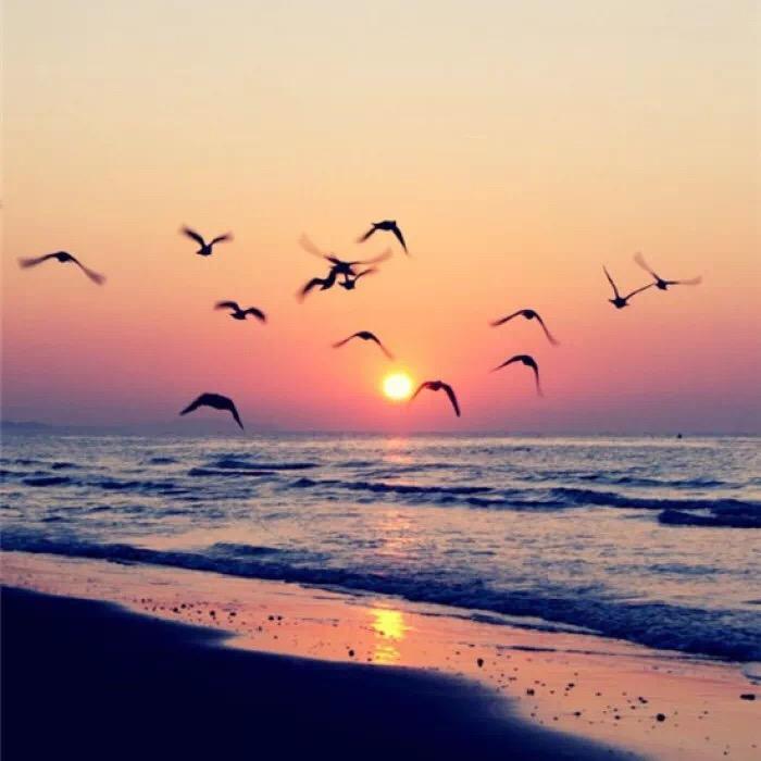 漂流者