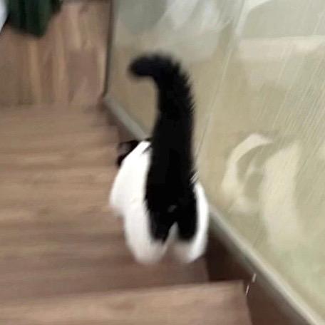 c.