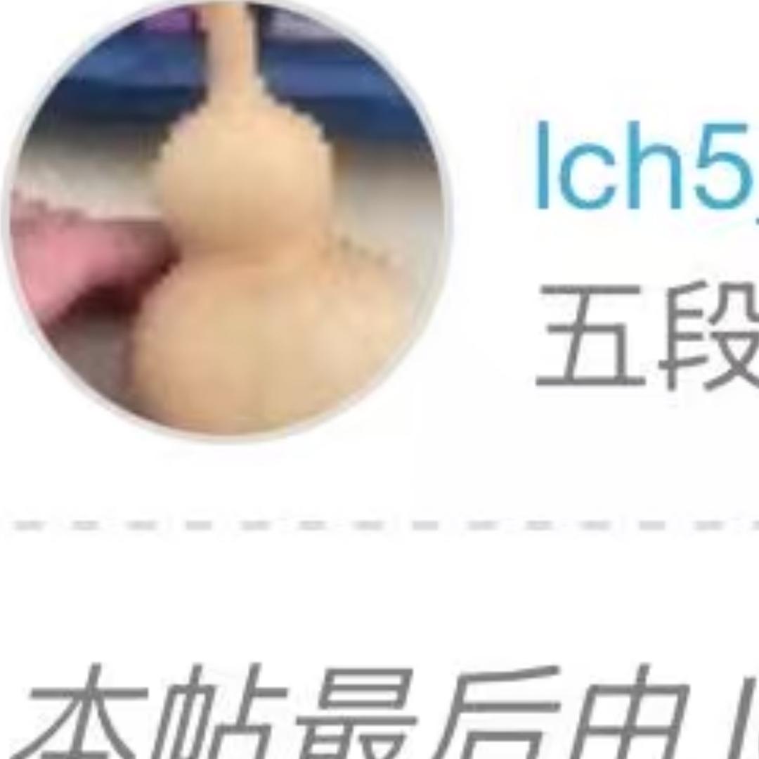 宝哥和和