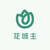 深圳市花城主电子有限公司