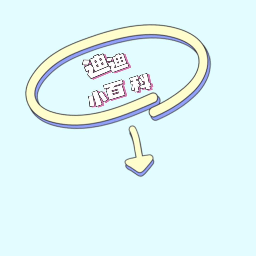 迪迪小百科