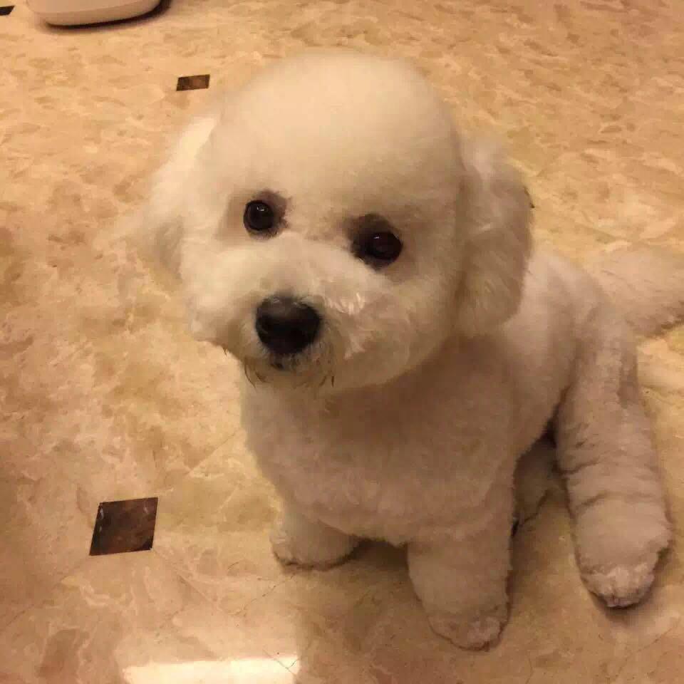 爱春天