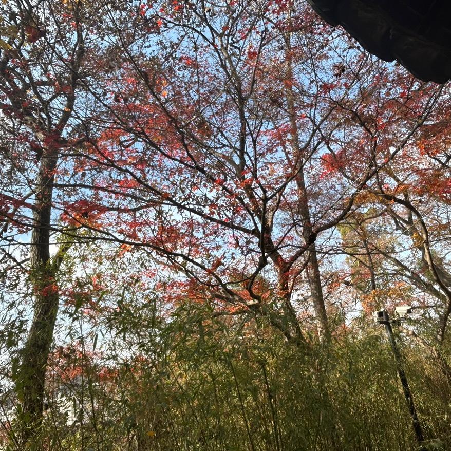 加油！哔哔哔吧